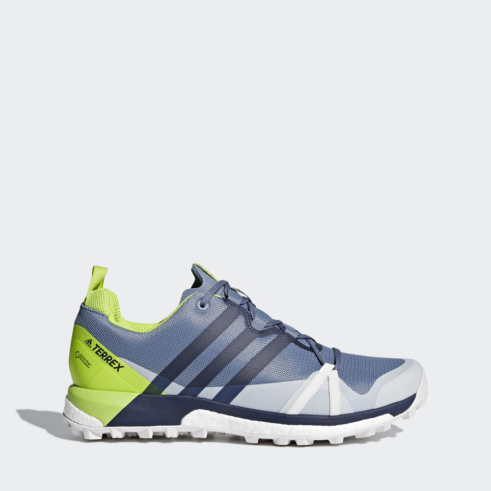 Adidas Terrex Agravic Gtx - παπουτσια για τρεξιμο ανδρικα - Γκρι/Σκουρο Μπλε/Ανοιχτο Πρασινο,Μέγεθος